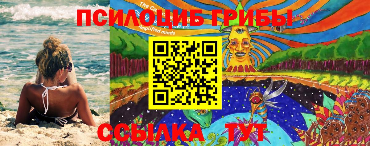 Псилоцибиновые грибы Magic Shrooms  наркота  Сарапул  Вход с VPN 